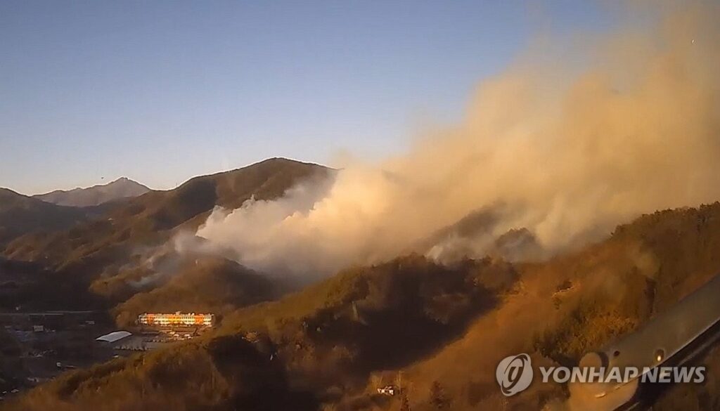 PYH2026012118620005400_P4