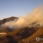 PYH2026012118620005400_P4