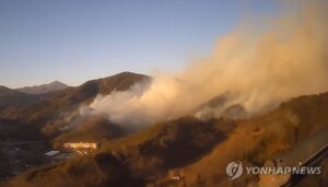 PYH2026012118620005400_P4