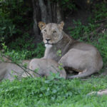 news-p.v1.20260110.3134538a945240c5954eaa352d972d24_P1