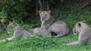 news-p.v1.20260110.3134538a945240c5954eaa352d972d24_P1