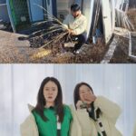 news-p.v1.20260118.6135625e70284486b3565d8e7c2fcc7b_P1