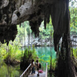 news-p.v1.20260131.10711d416f2b483898b2e6e7a634135b_P1