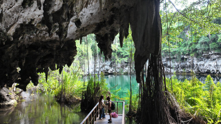 news-p.v1.20260131.10711d416f2b483898b2e6e7a634135b_P1