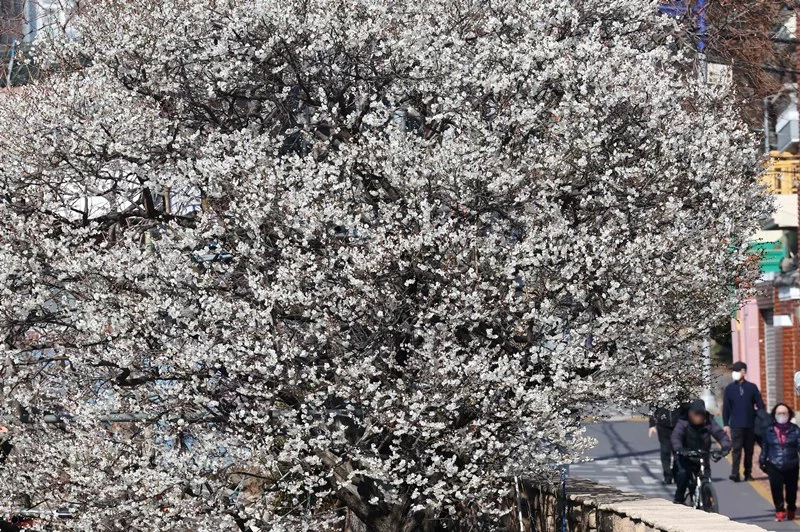 00000296150620260218182108791