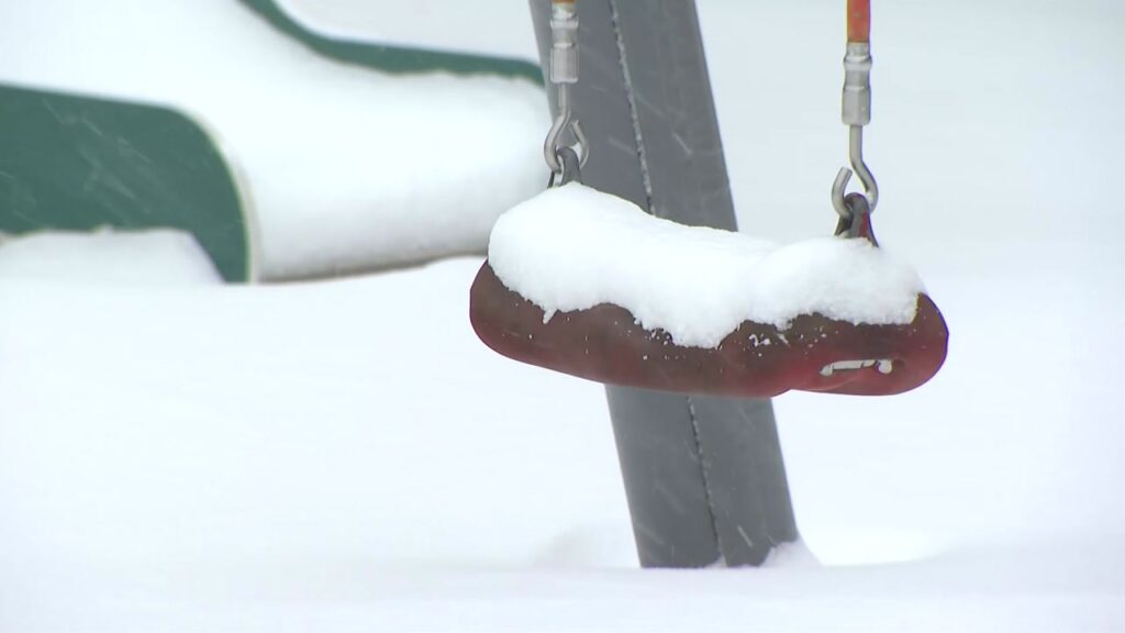 202602011216123174_t