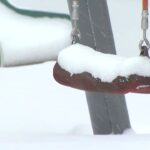 202602011216123174_t