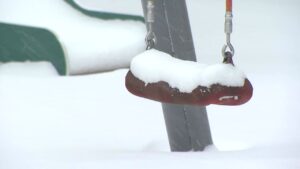 202602011216123174_t