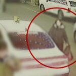 202602211304473321_t