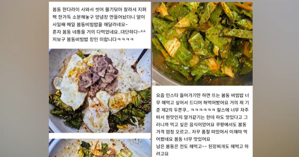 20260222095021309tqjz