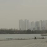 202602221207298926_t