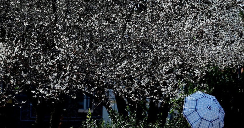 20260224063238410frkz