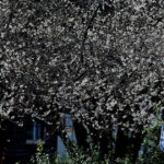 20260224063238410frkz