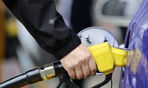 4069412_707611_2049_v150