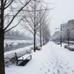 424186_416194_4922_v150