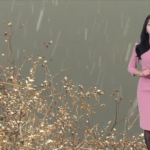 4dfddc3bbf5397fb7e1c7a086098ae62