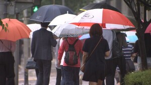 535534_167739_480_v150