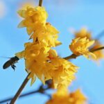 E90CC2D2315C060919D5CB5631F09FCD