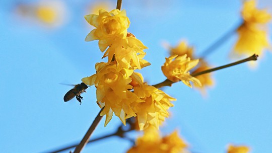 E90CC2D2315C060919D5CB5631F09FCD