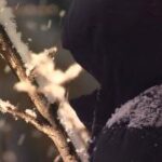 MYH20260202060508FHm_P1