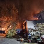 NISI20260207_0002058345_web