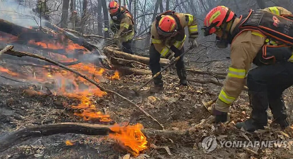 PYH2026020807160005300_P4-1