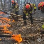 PYH2026020807160005300_P4