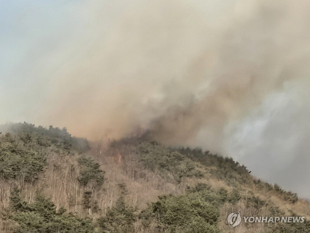 PYH2026022203960005700_P4