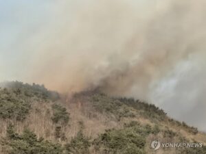 PYH2026022203960005700_P4