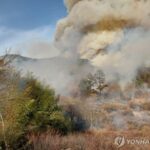 PYH2026022320940005200_P4