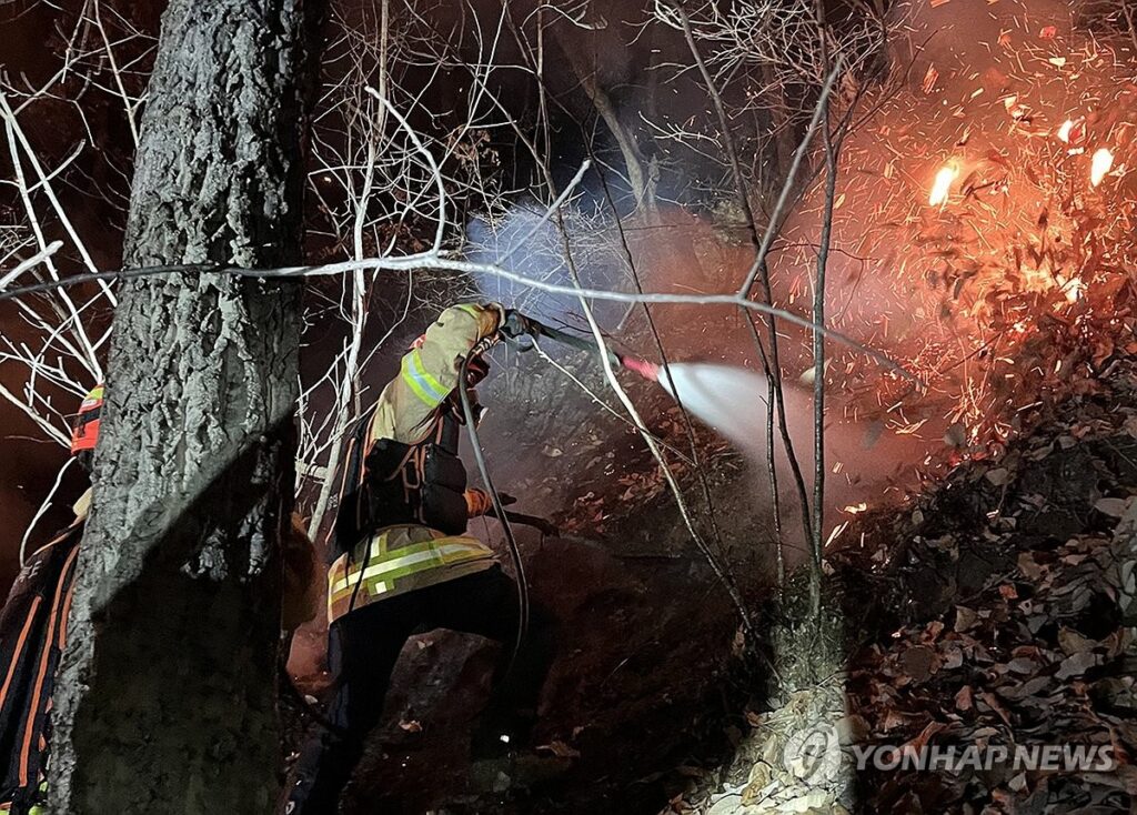 PYH2026022522270005300_P4