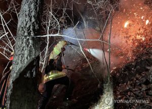 PYH2026022522270005300_P4