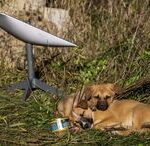 bc41fb8f-c829-47f3-af9c-2665370858a2