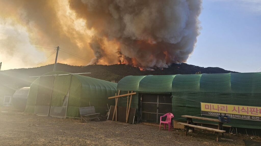 d97efdb9-f9ab-4c84-a516-3cf9864f8bf6