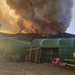 d97efdb9-f9ab-4c84-a516-3cf9864f8bf6