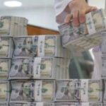 1702657_724393_587_v150