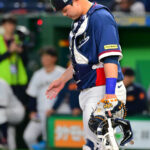 김형준 ‘잡았어야 했는데’