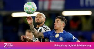 1773579809825_newcastle