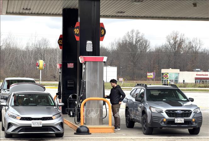 1773794479672_gia-dau-tho-180326