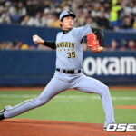 202603021216772829_1