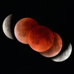 2026030309220944132_1