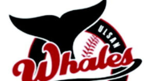 20260309003358500iybz