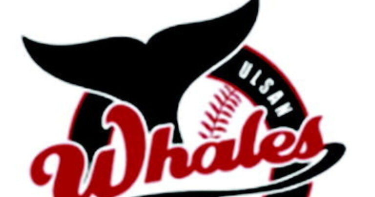 20260309003358500iybz