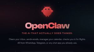 2026031112142550150_1