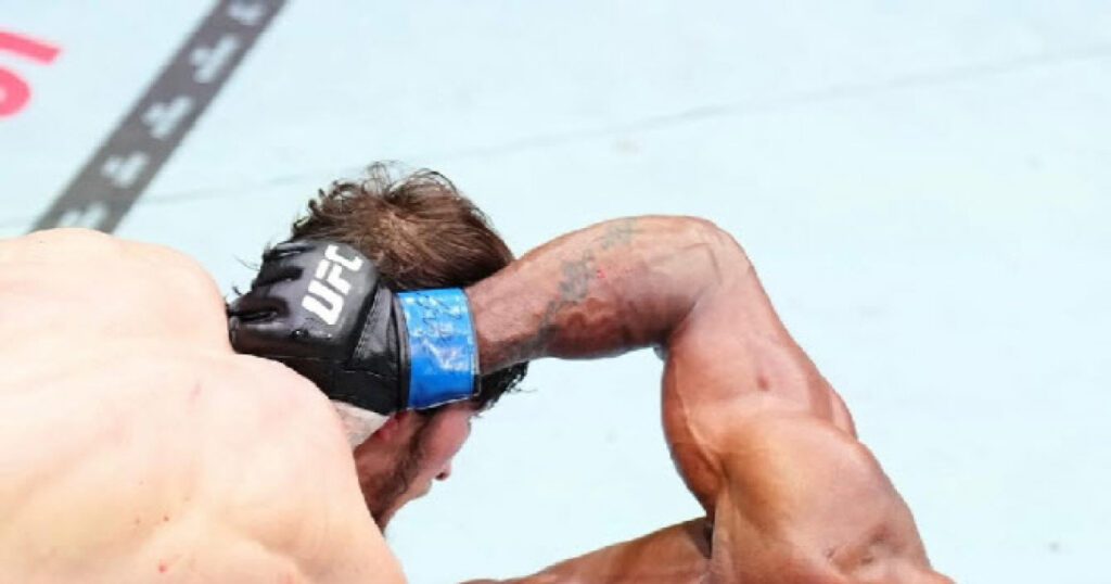 20260322114404788bmul