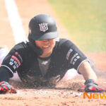 202603281502415531_1