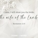 28-votd-march-2026-1200x627-1