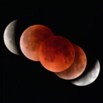 49254_77818_243_v150