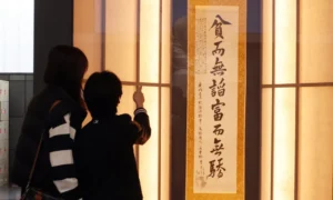 53_17745044457103_20260326502551