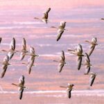 7E986B249FC5C3486B0662460DE0E672